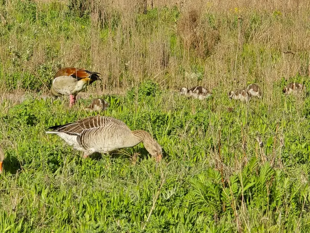 Foto: Heidrun Rosenberger