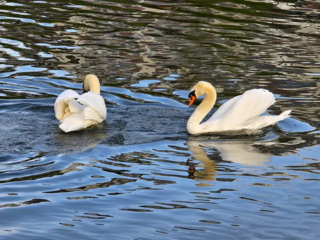 Foto: Heidrun Rosenberger