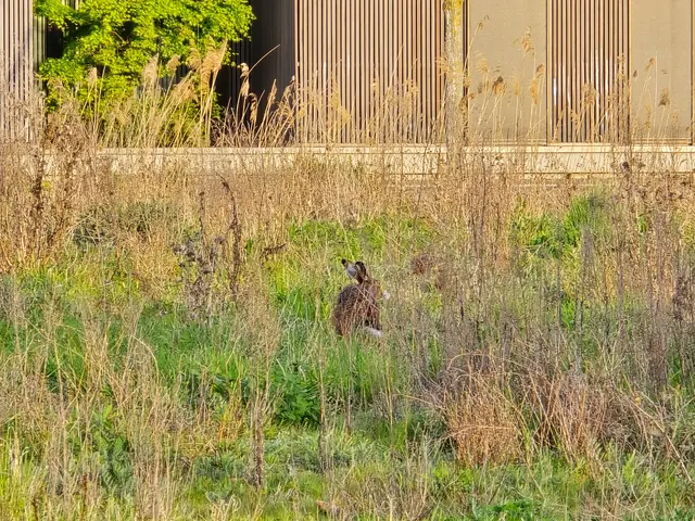 Foto: Heidrun Rosenberger