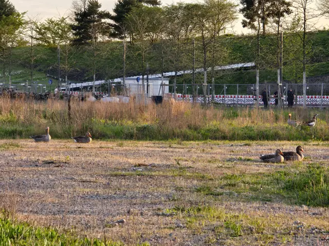 Foto: Heidrun Rosenberger