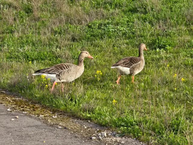 Foto: Heidrun Rosenberger