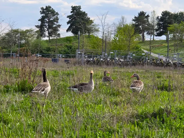 Foto: Heidrun Rosenberger