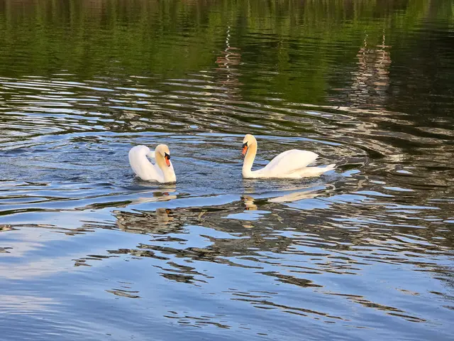 Foto: Heidrun Rosenberger