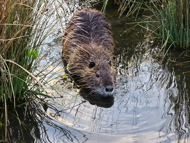 Foto: Heidrun Rosenberger