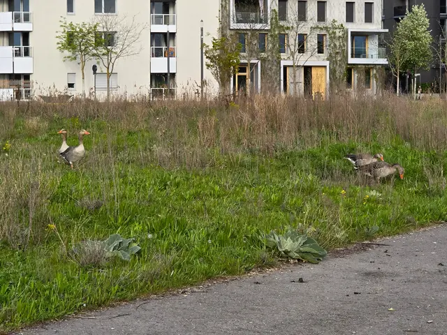 Foto: Heidrun Rosenberger