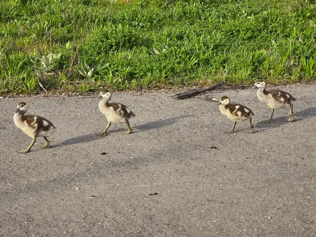 Foto: Heidrun Rosenberger