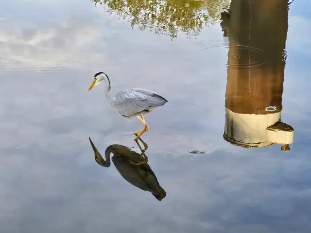 Foto: Heidrun Rosenberger