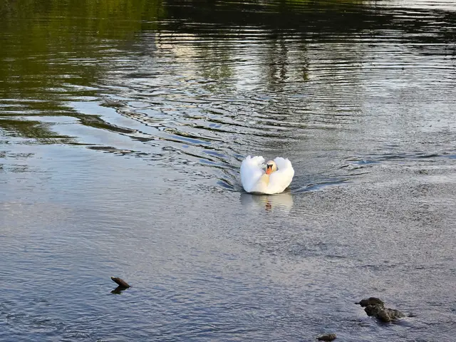 Foto: Heidrun Rosenberger
