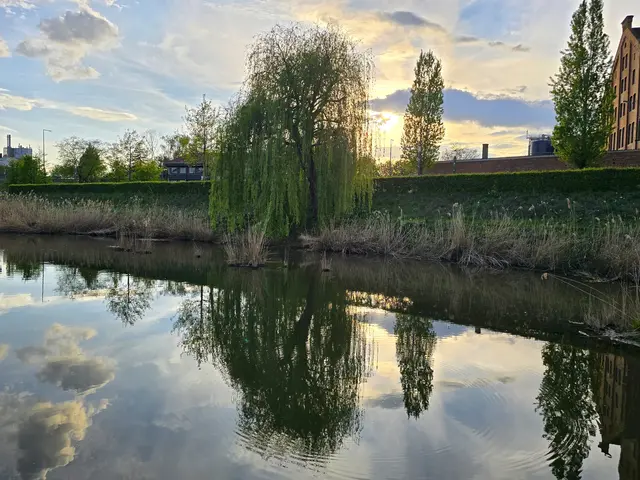 Foto: Heidrun Rosenberger