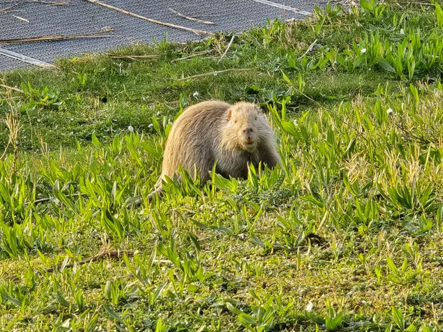 Foto: Heidrun Rosenberger