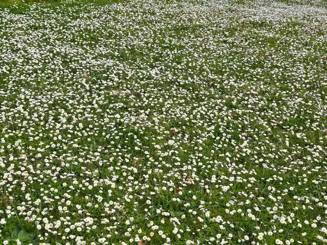 Foto: Heidrun Rosenberger