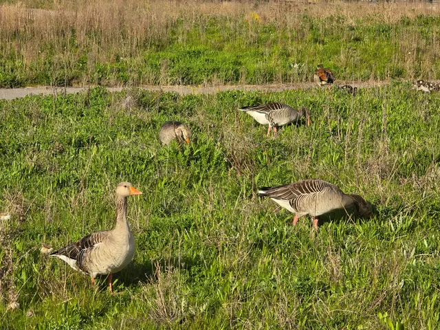 Foto: Heidrun Rosenberger