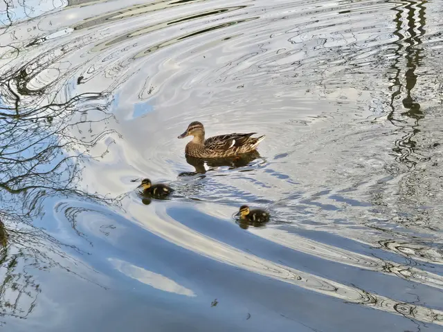 Foto: Heidrun Rosenberger