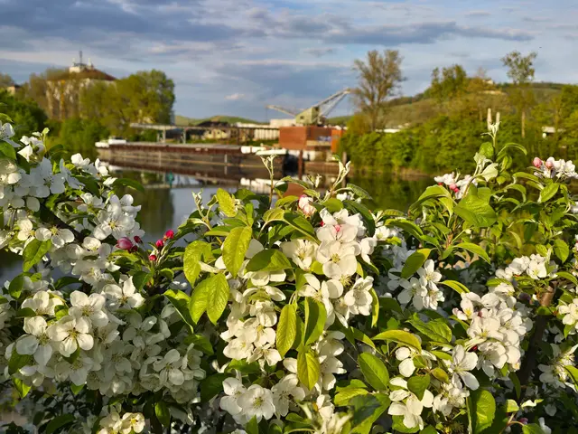 Foto: Heidrun Rosenberger