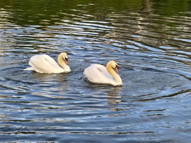 Foto: Heidrun Rosenberger