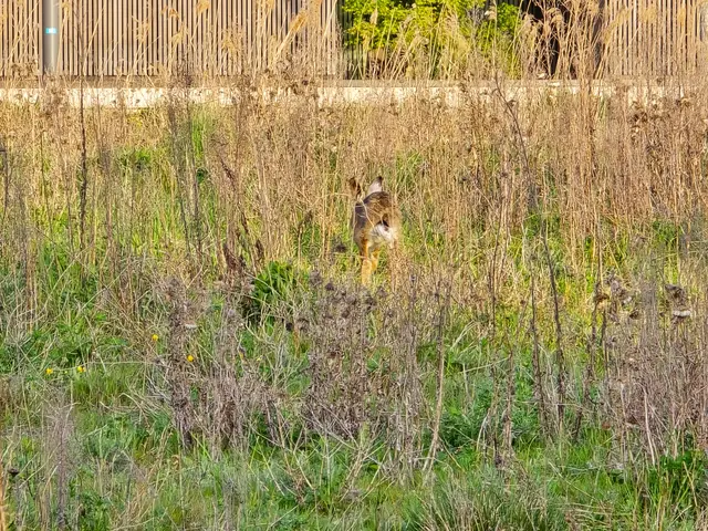 Foto: Heidrun Rosenberger