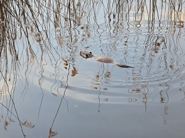 Foto: Heidrun Rosenberger