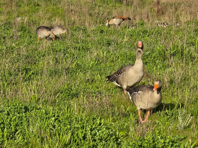 Foto: Heidrun Rosenberger