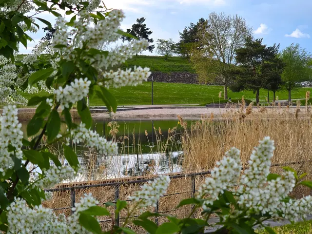 Foto: Heidrun Rosenberger