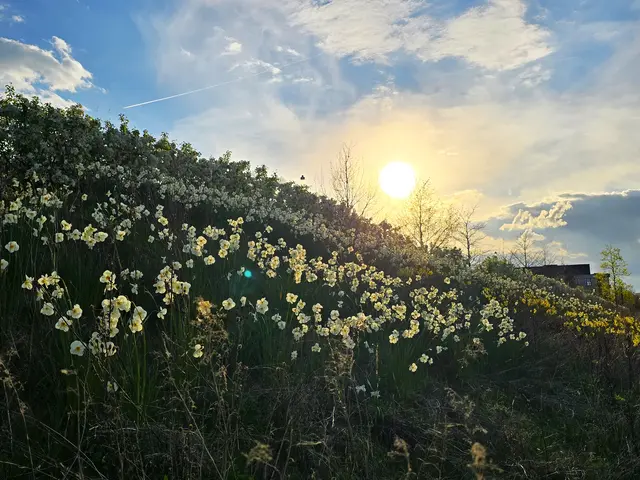 Foto: Heidrun Rosenberger