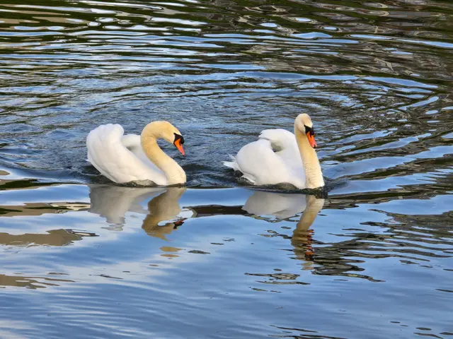 Foto: Heidrun Rosenberger