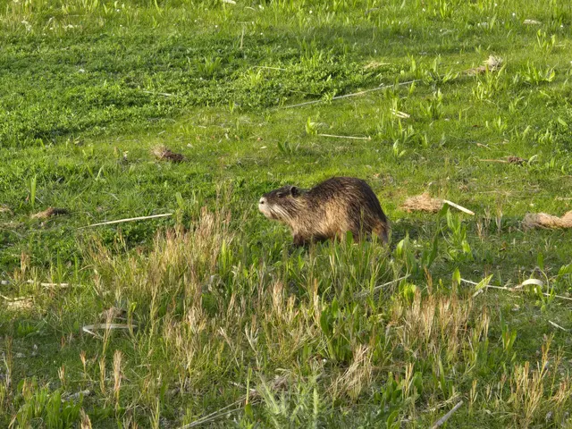 Foto: Heidrun Rosenberger