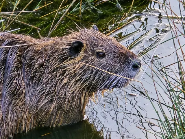Foto: Heidrun Rosenberger