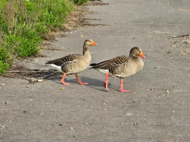 Foto: Heidrun Rosenberger