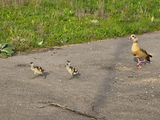 Foto: Heidrun Rosenberger