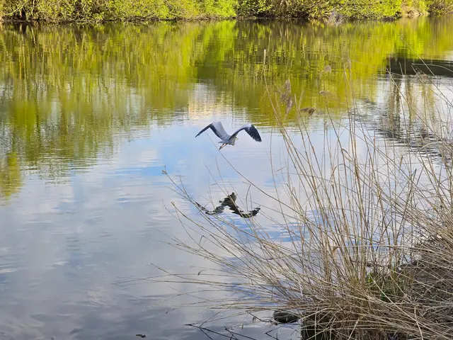 Foto: Heidrun Rosenberger