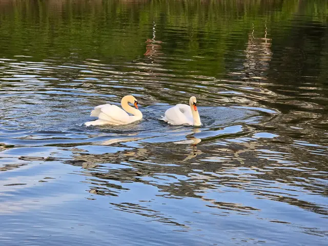 Foto: Heidrun Rosenberger