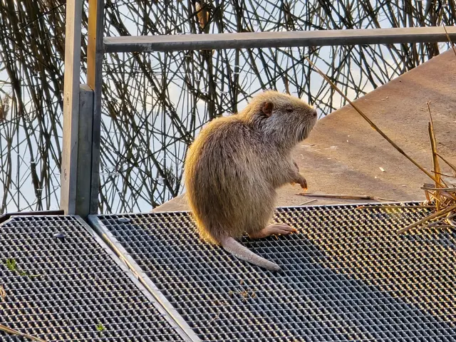 Foto: Heidrun Rosenberger