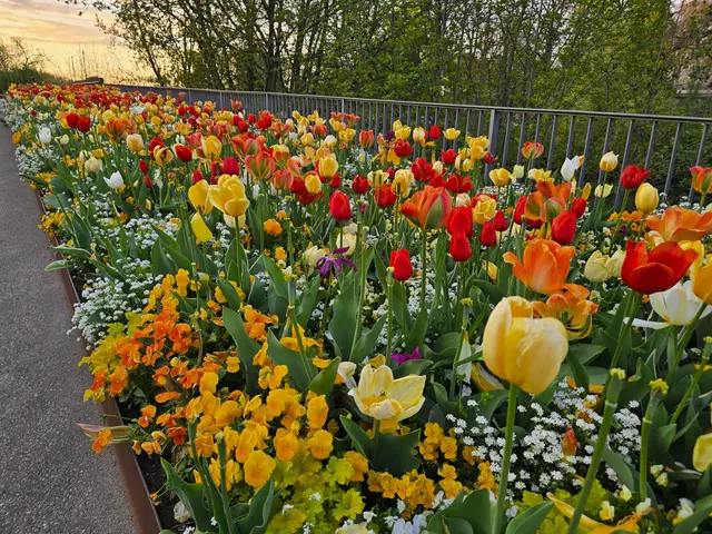 Foto: Heidrun Rosenberger