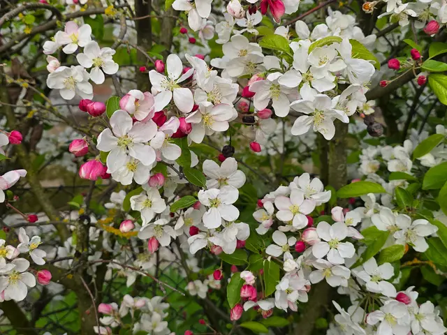 Foto: Heidrun Rosenberger