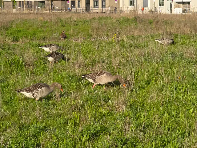 Foto: Heidrun Rosenberger
