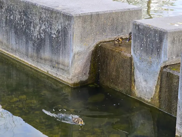 Foto: Heidrun Rosenberger