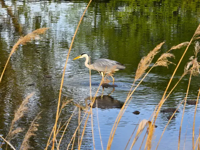 Foto: Heidrun Rosenberger