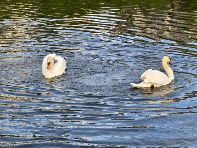 Foto: Heidrun Rosenberger
