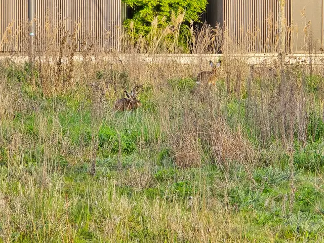 Foto: Heidrun Rosenberger
