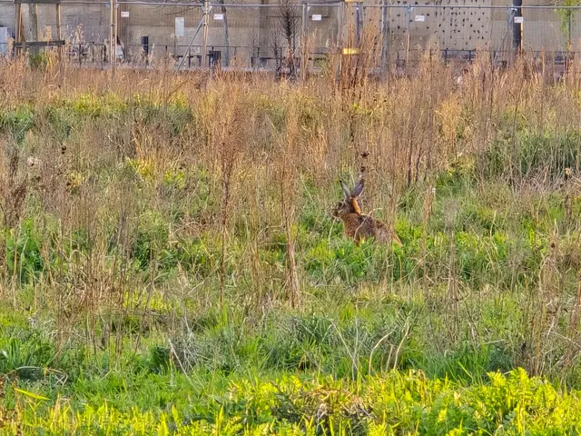 Foto: Heidrun Rosenberger