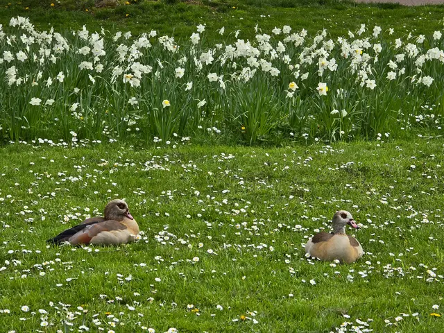 Foto: Heidrun Rosenberger