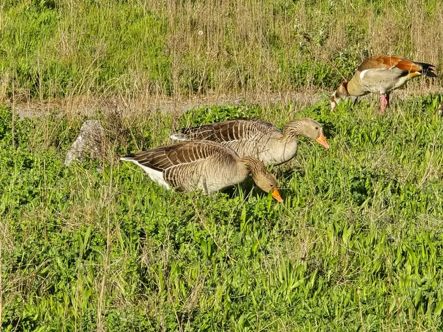 Foto: Heidrun Rosenberger