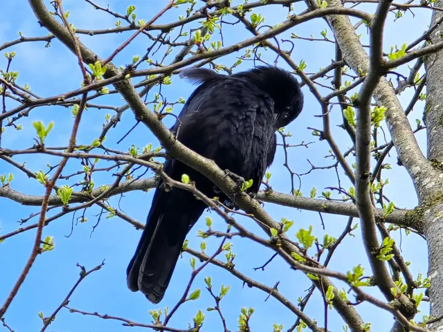 Foto: Heidrun Rosenberger