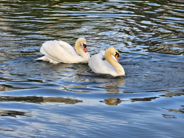 Foto: Heidrun Rosenberger
