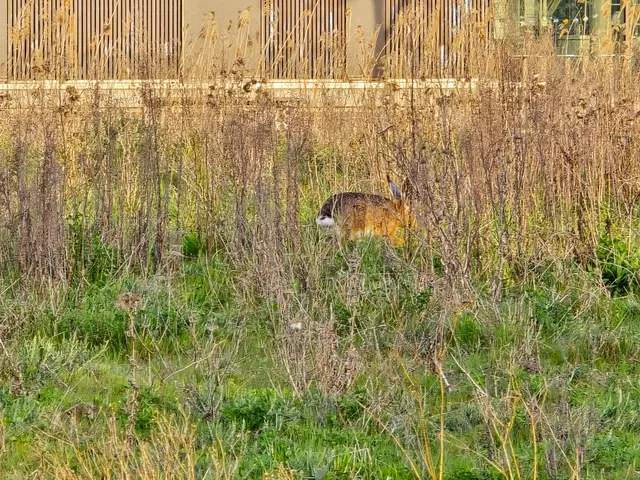 Foto: Heidrun Rosenberger
