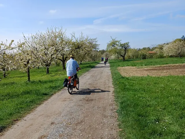 Fahrt durch die Blütenpracht | Foto: E. Rosendorf