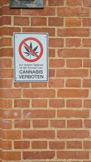 Foto: Elke Pfeiffer