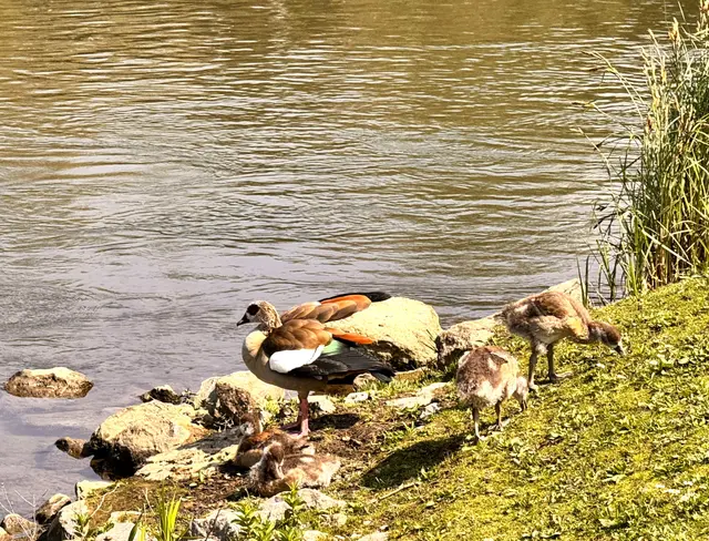Foto: Heide Böllinger aus Bad Friedrichshall