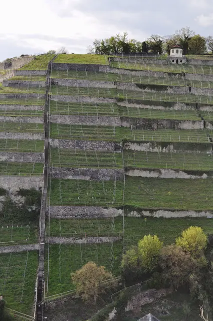 Von diesem Raum aus hat man einen wunderschöne Sicht auf die Treppe zum Himmelsreich. Die zum Michaelsberg führt. | Foto: Daniela Somers