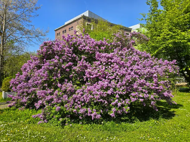 Foto: Heidrun Rosenberger